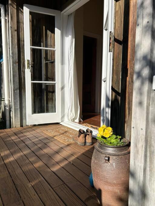 The Studio Coromandel Exterior foto